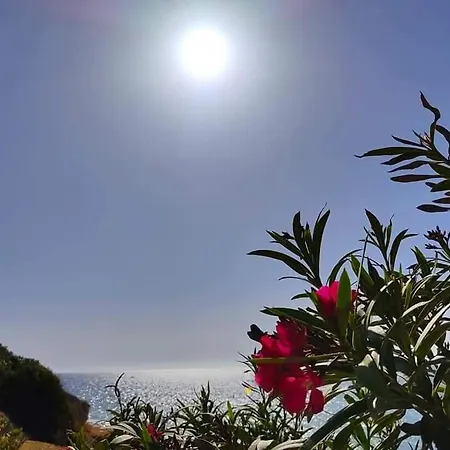 Le Perle Di Salvo Avola